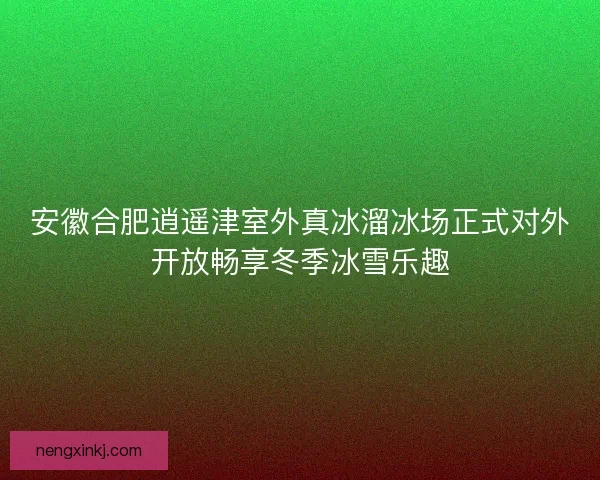 安徽合肥逍遥津室外真冰溜冰场正式对外开放畅享冬季冰雪乐趣 安徽合肥逍遥津室外真冰溜冰场正式对外开放畅享冬季冰雪乐趣