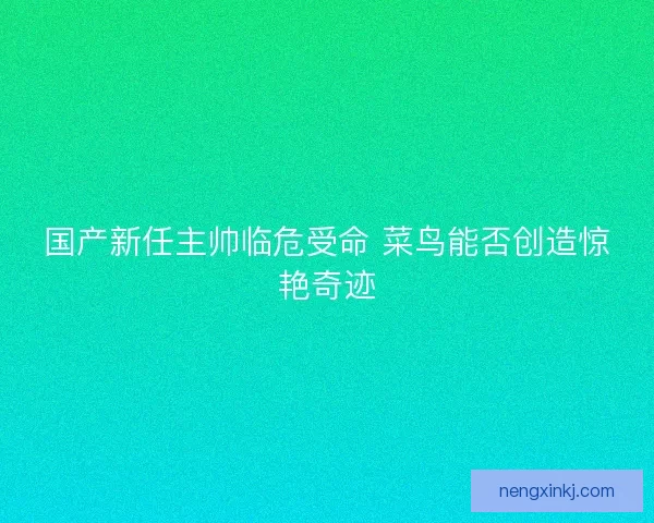 国产新任主帅临危受命 菜鸟能否创造惊艳奇迹 国产新任主帅临危受命 菜鸟能否创造惊艳奇迹